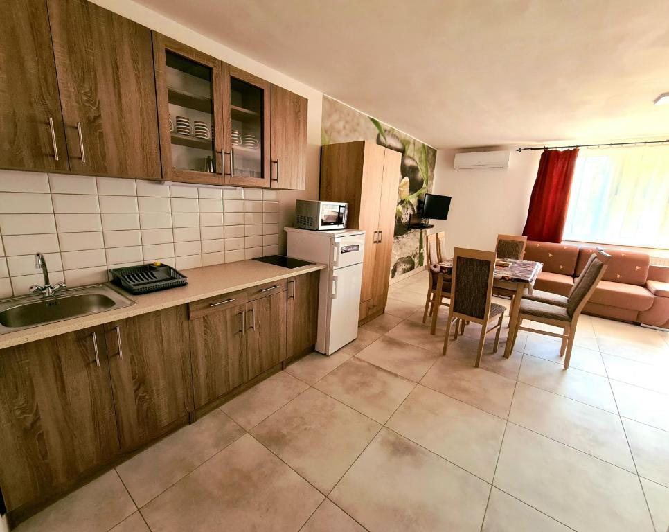 索普隆肖普朗阿尼塔公寓酒店的厨房配有木制橱柜和桌椅