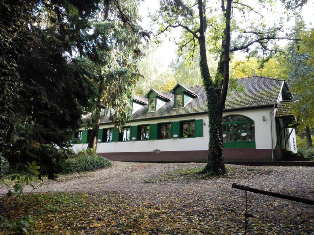 利拉菲赖德Fehérkőlápa Turistaház Panzió的绿色的白色房子,前面有一棵树