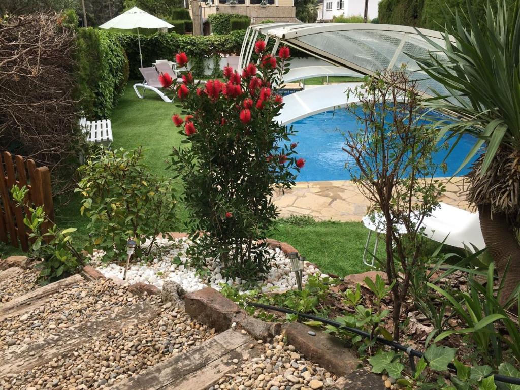 PallejáCasa familiar con piscina的一座花园,花园内种有红色玫瑰,并设有一个游泳池
