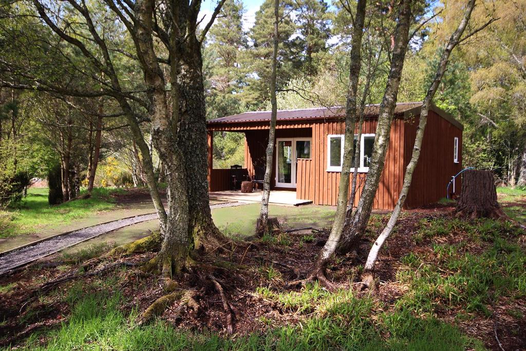 AuldearnThe Cabin at Easter Arr的树中间的一个红色小屋