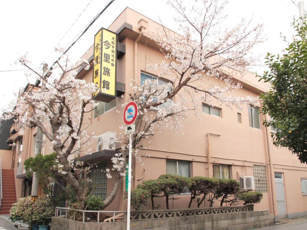 大阪今里旅馆的前面有一棵开花的树