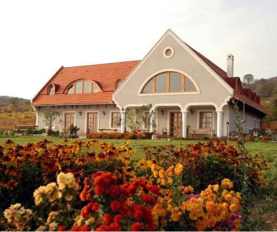 巴拉顿菲赖德Koczor Winery & Guesthouse的前面有一束鲜花的房子