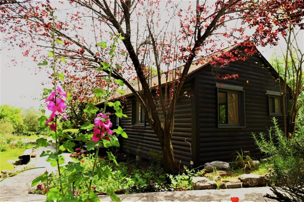 Yoqne‘amNuma Emek-Countryside Guesthouse in Yokneam Moshava的前面有粉红色花的小小屋