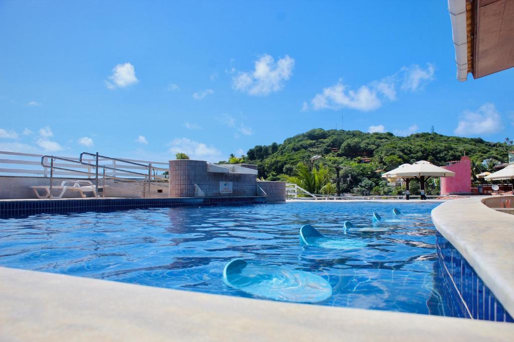 皮帕皮帕斯海湾酒店 的海豚在水中游荡的度假胜地的游泳池