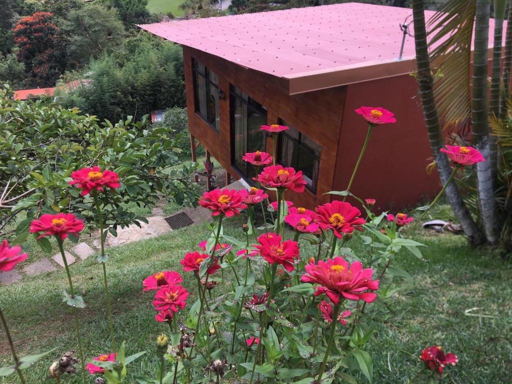 迦太基Navarro mountain的前面有红花的小房子