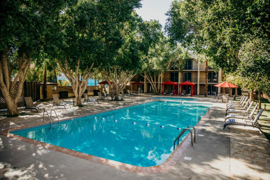墨西卡利阿莱莎墨西卡利酒店的一座带椅子和树木的游泳池以及一座建筑