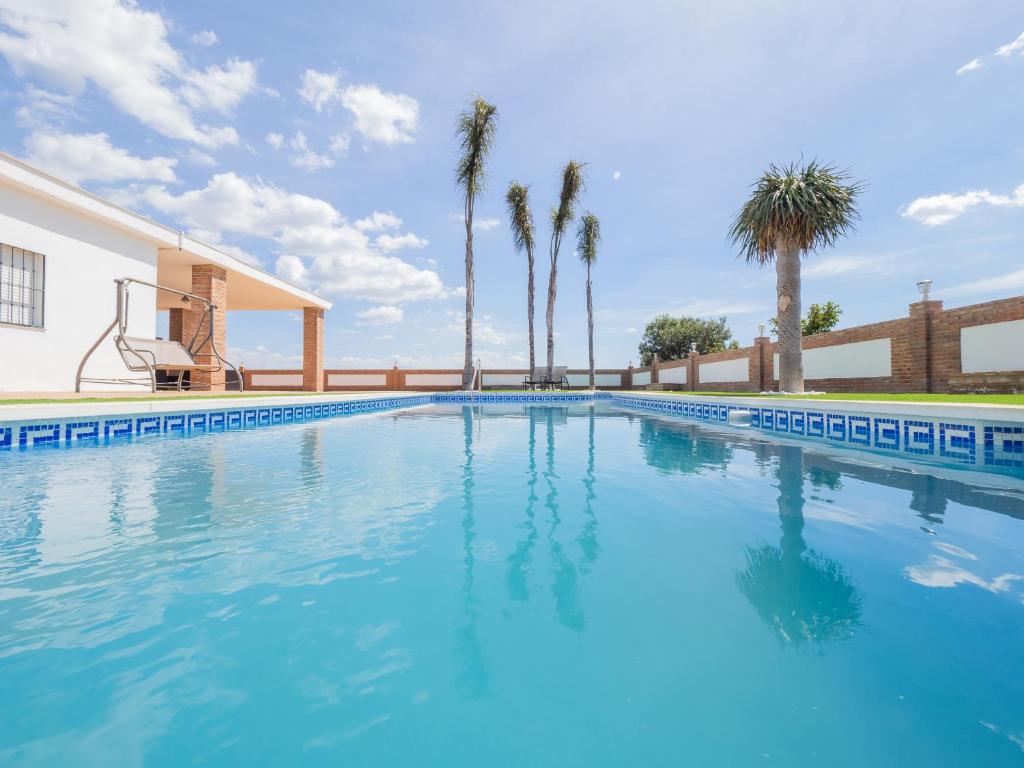 卡尔塔马Cubo's Villa Miraflores的一座棕榈树环绕的大型游泳池