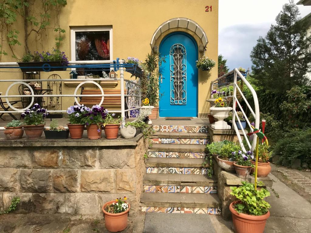 多瑙凯西Lovely Nest near Budapest的一座有蓝色门和一些盆栽植物的房子