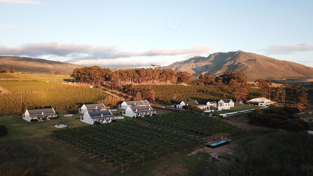 波特里弗Endless Vineyards at Wildekrans Wine Estate的享有葡萄园的空中景致,设有房屋和山脉