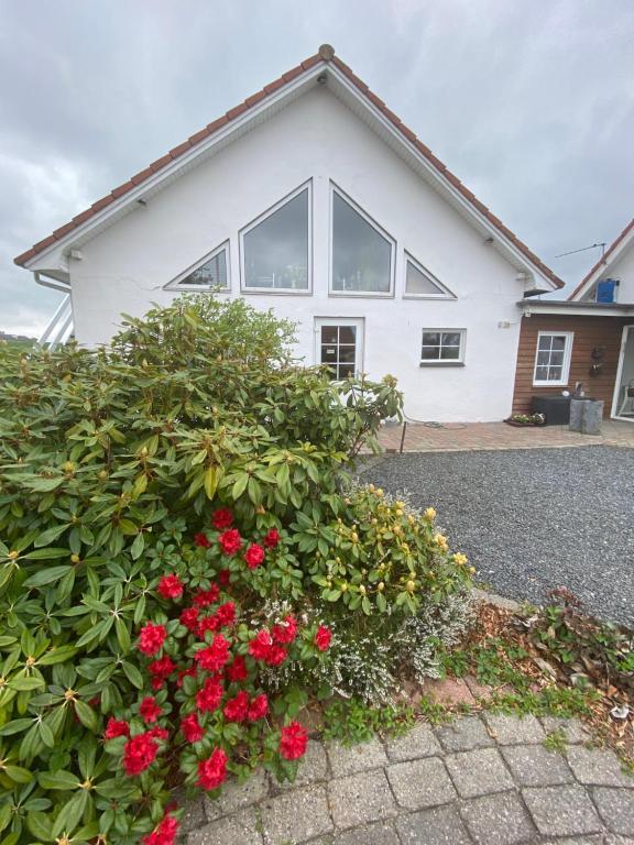 FarsøMargretelyst Ferielejlighed的前面有红花的白色房子