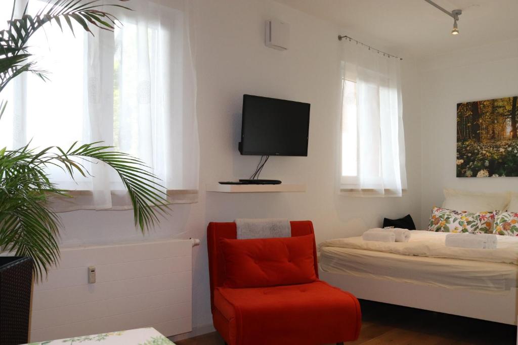 罗拉赫Casa Stetten的一间卧室配有一张床、一把椅子和电视。