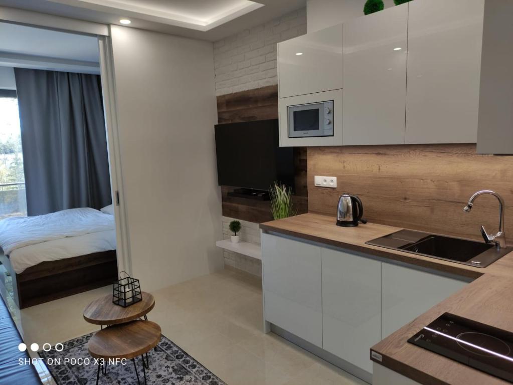 什特尔布斯凯普莱索Armeria Residence Snow的一个带水槽的厨房和一张位于客房内的床
