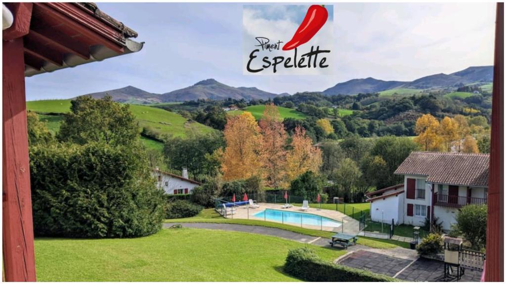 SouraïdeBol d'air pur au coeur du pays basque的享有带游泳池和山脉的房屋景致