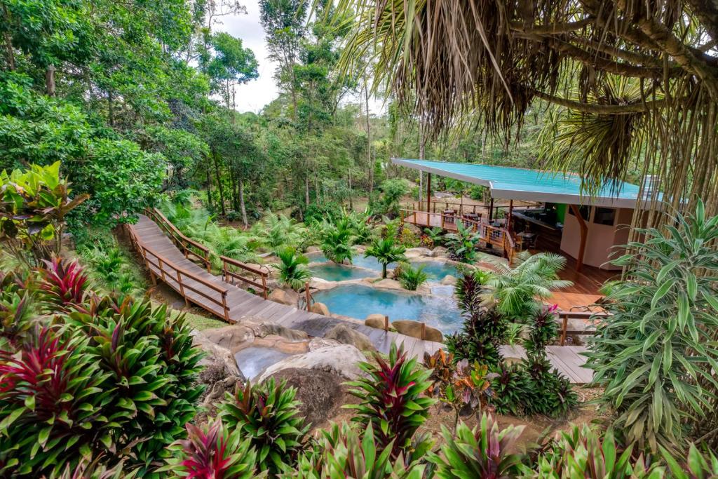 Chachagua Rainforest Hotel &amp; Hot Springs外面的花园