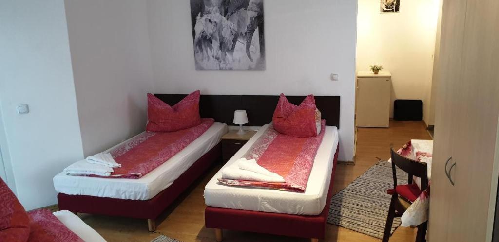 格拉茨Apartmenthaus beim LKH Graz的客房内的两张床和红色枕头