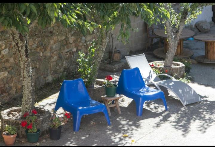 拉瓦纳尔德尔卡米诺LA CASONA DE RABANAL的两张蓝色的椅子和一张桌子,还有一些植物