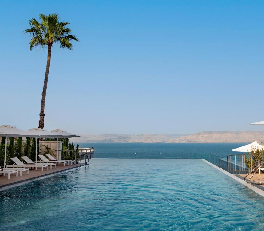 提比里亚Sofia Hotel Sea Of Galilee的一座棕榈树和海洋游泳池