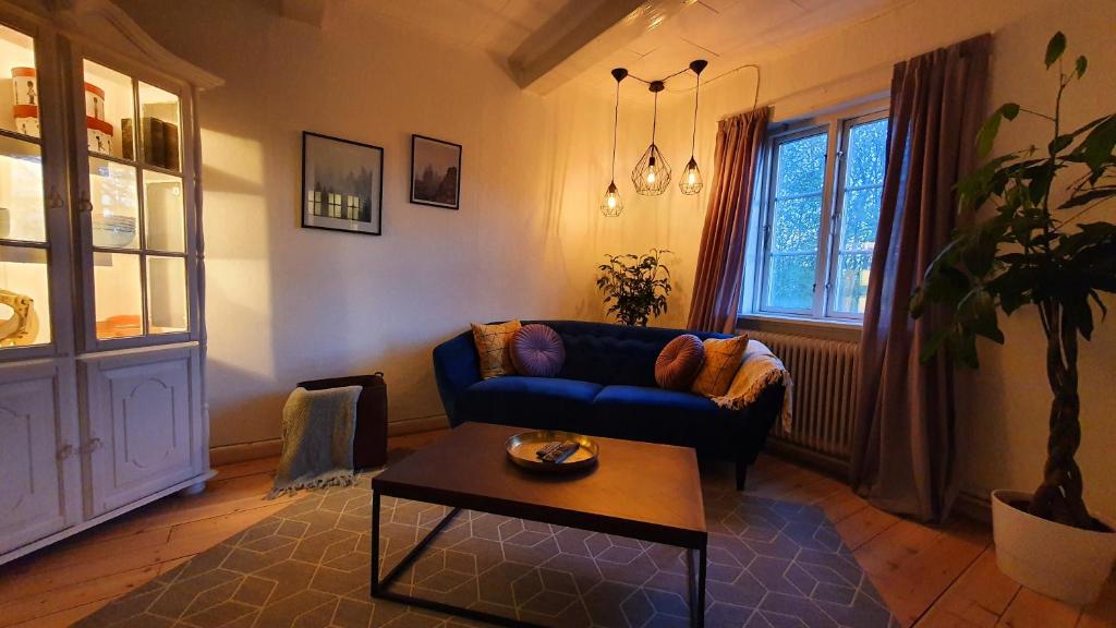 尼克宾法尔斯特Alter Priesterhof - Idyllische Ferienhausvermietung的客厅配有蓝色的沙发和桌子
