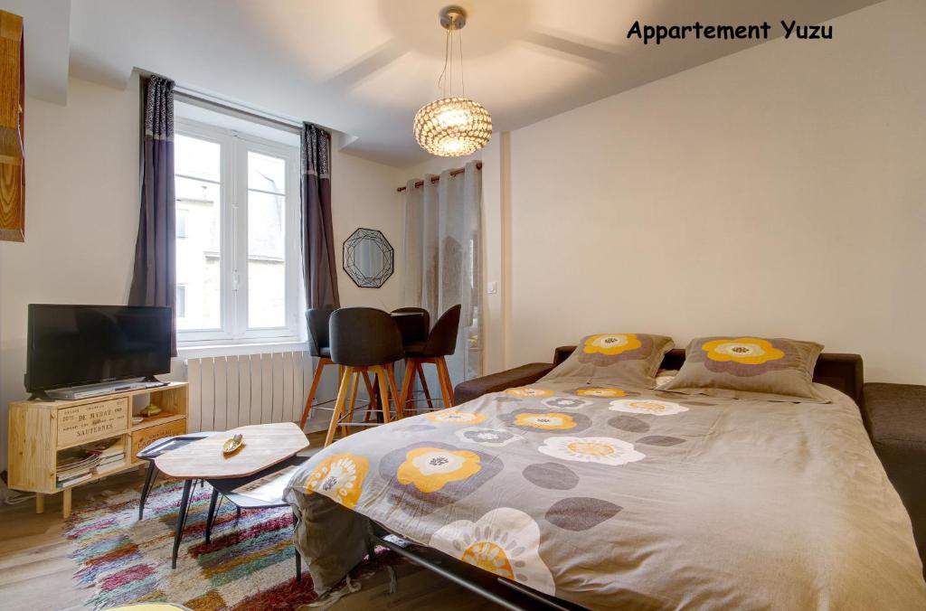 Appartements de caractère centre客房内的一张或多张床位