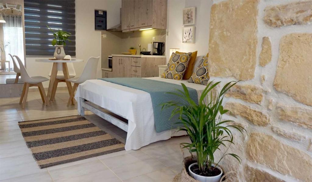 科基诺斯皮格斯Studio Eleni - Oasis holiday houses的一间带大床的卧室和一间厨房