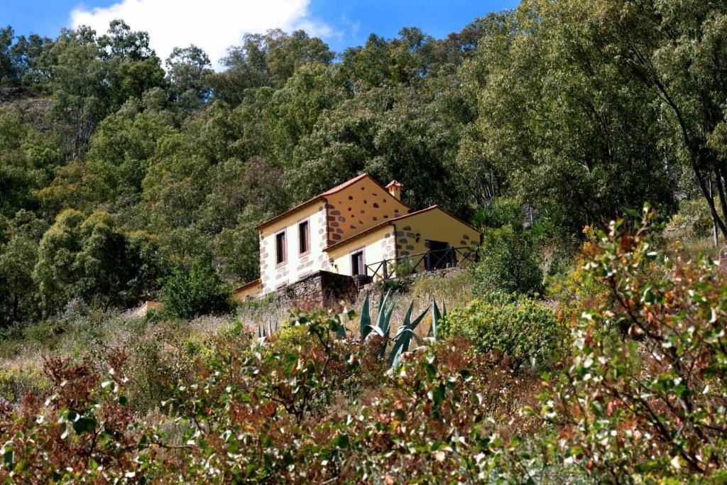 特罗尔Casa Rural Las Caldereras的田间中的小房子