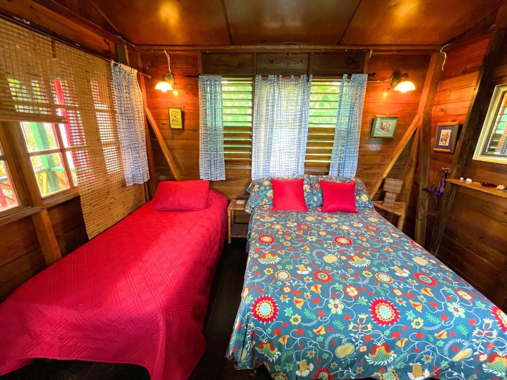 尼格瑞尔朱迪小屋和客房度假屋的一间小房子内带两张床的卧室