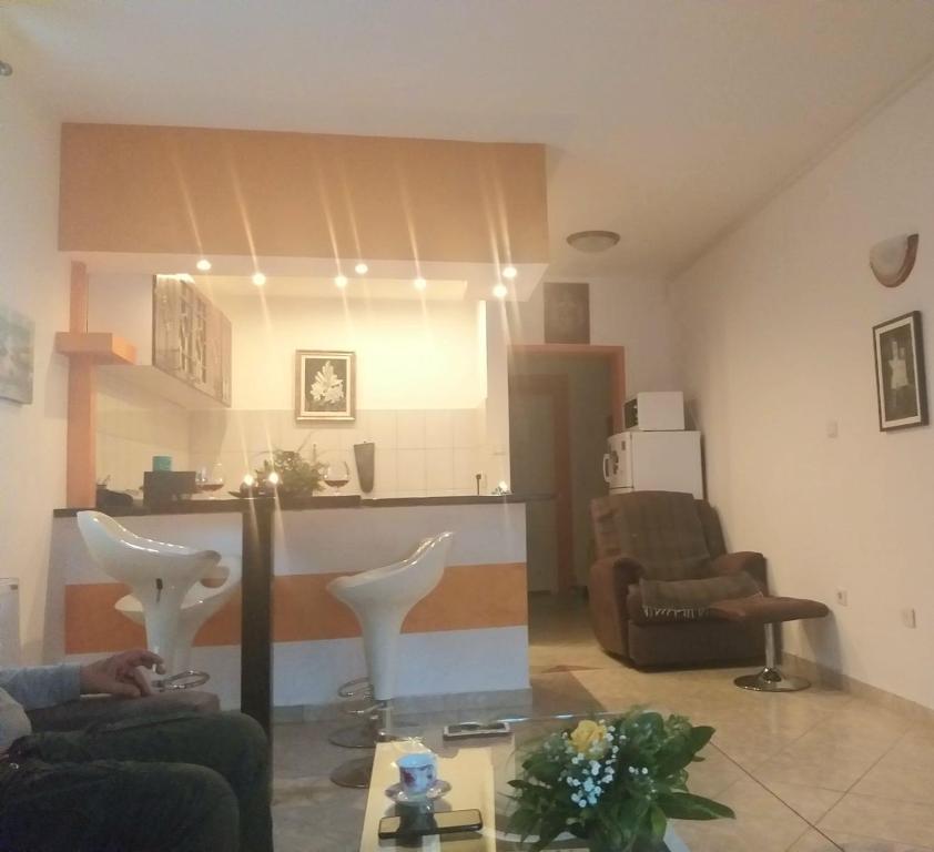 弗尔尼亚奇卡矿泉镇Apartman NV的客厅配有沙发和桌子