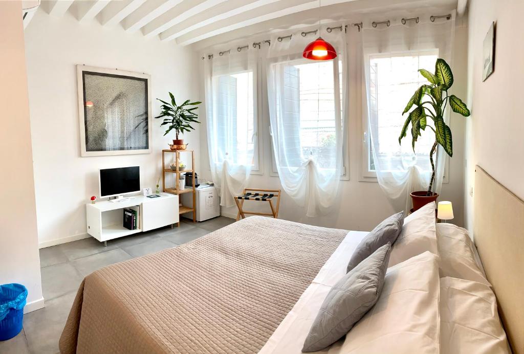 威尼斯SANTA CATERINA的一间卧室设有一张床、一台电视和窗户。