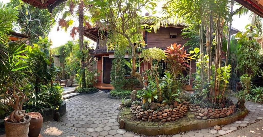 吉利马努克The Arya guest house的一座庭院,房子前面有树木和植物