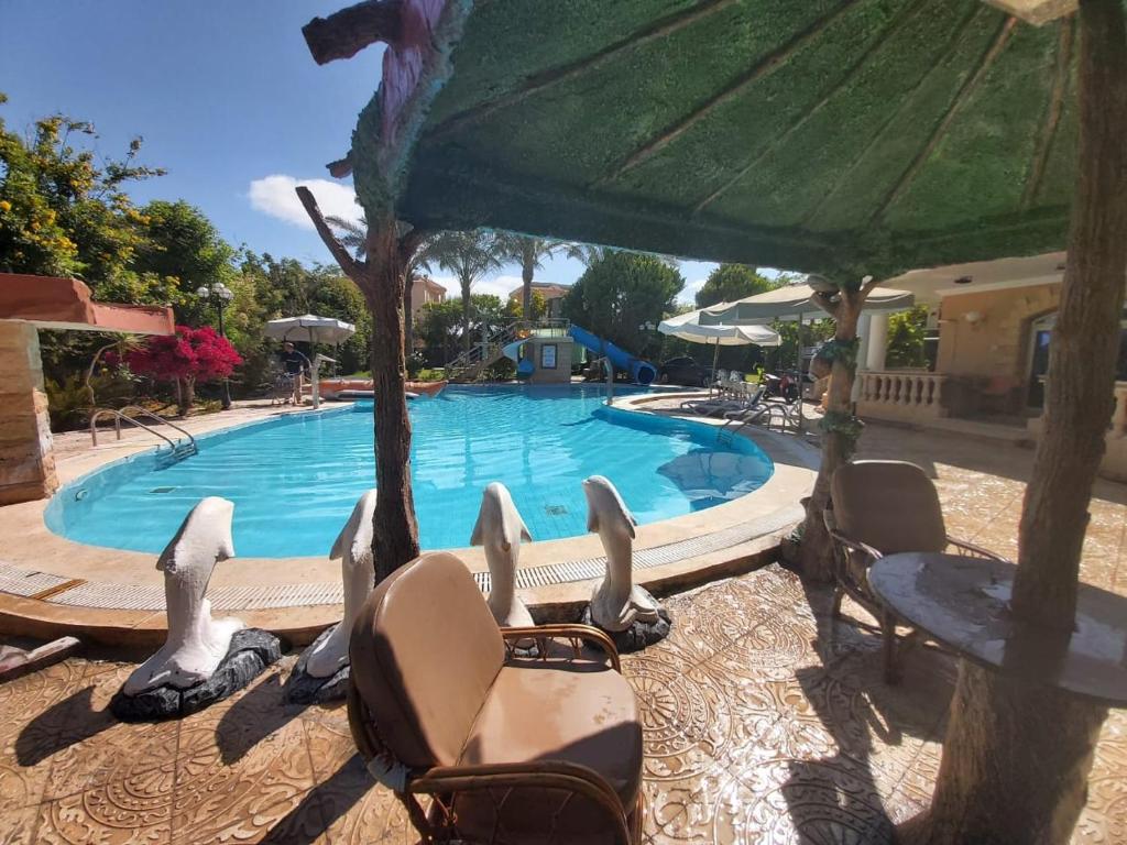 西迪基里尔Resort altayar Villa altayar 2- Aqua Park的一个带椅子和遮阳伞的游泳池