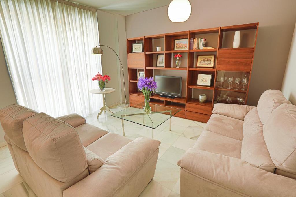 塞维利亚Piso Triana, Sevilla的带沙发和电视的客厅