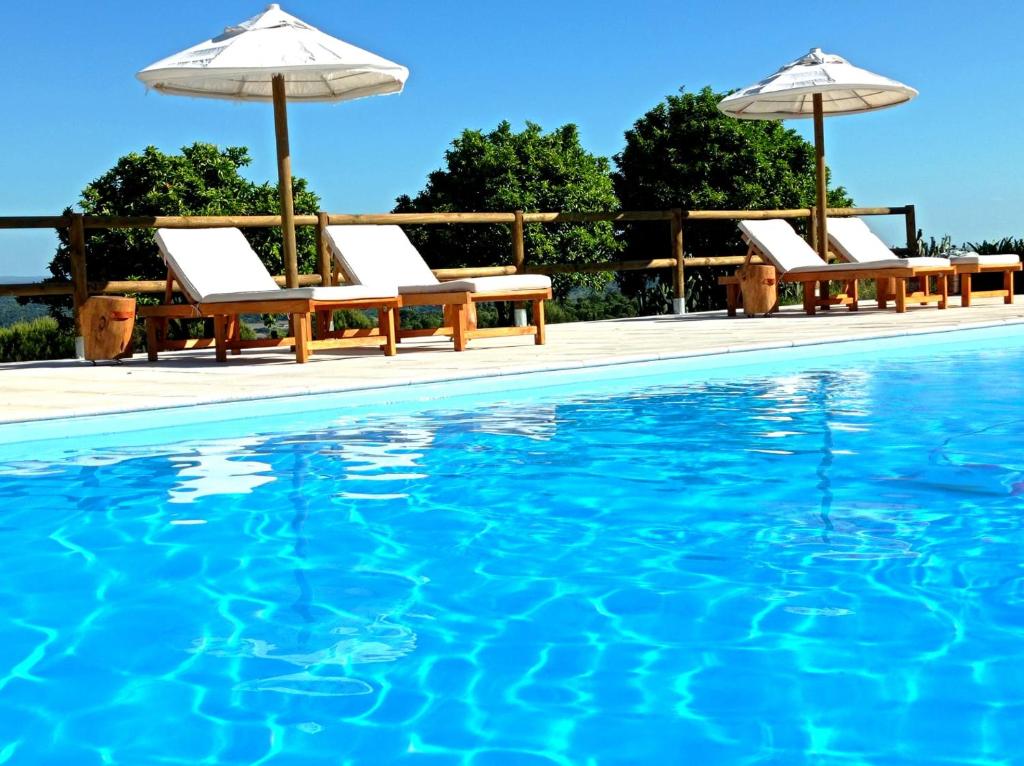 蒙塔吉尔葡萄牙蒙特酒店的水边带椅子和遮阳伞的游泳池