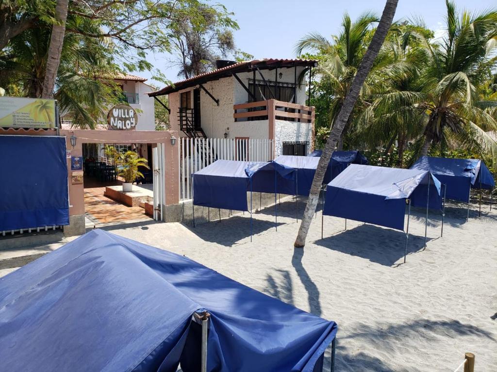 圣玛尔塔Hospedaje Villa Naloy的棕榈树海滩上的蓝色帐篷
