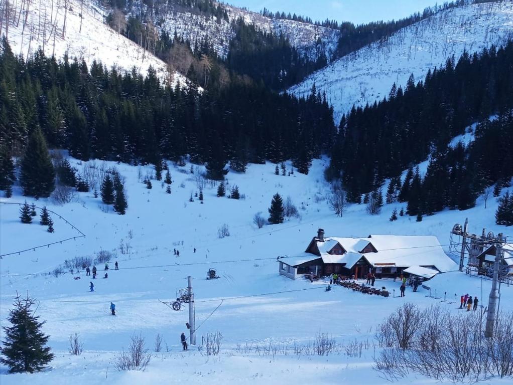 维许纳波察Apartmány SKI Čertovica的山中雪地中的滑雪小屋