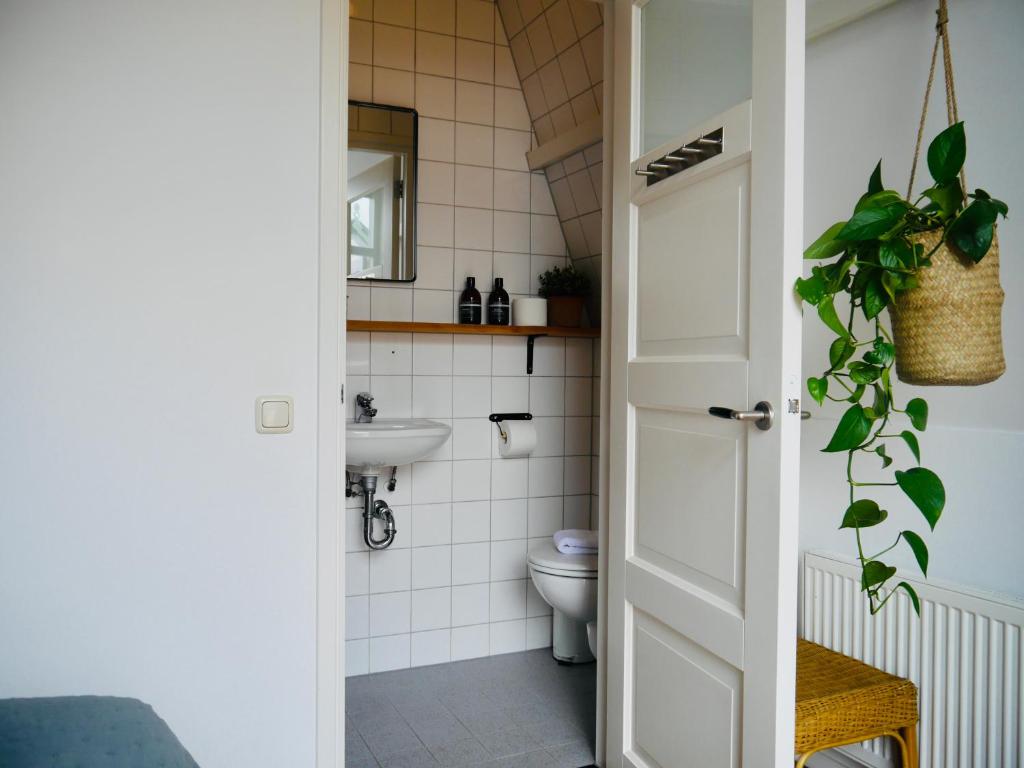 阿尔克马尔Groenlokaal的一间带卫生间和水槽的浴室