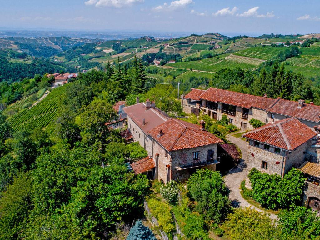 Trezzo TinellaHoliday Home Antico Borgo del Riondino by Interhome的葡萄园中庄园的空中景观