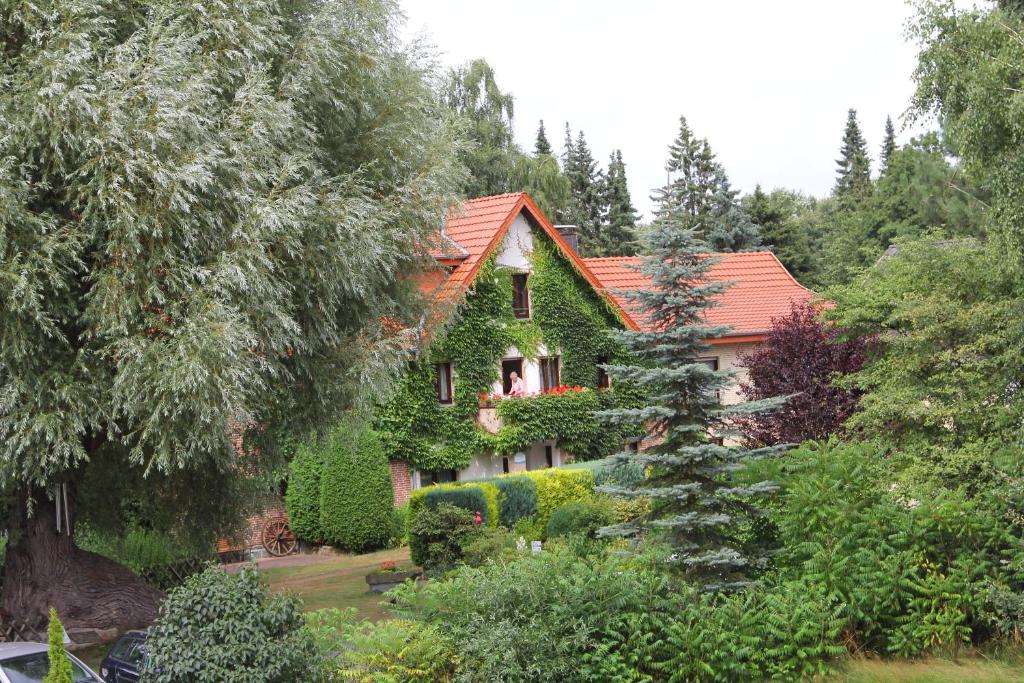 利普施塔特Ferienwohnung的一座带橙色屋顶和花园的房子