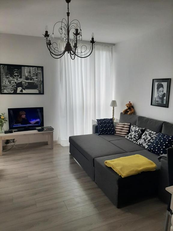 罗兹Hollywood Apartament Kosciuszki的带沙发和电视的客厅