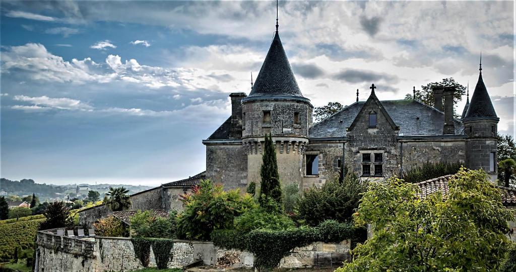 Bourg-sur-Gironde德拉格雷夫城堡住宿加早餐旅馆的一座古老的城堡,上面有两座塔楼