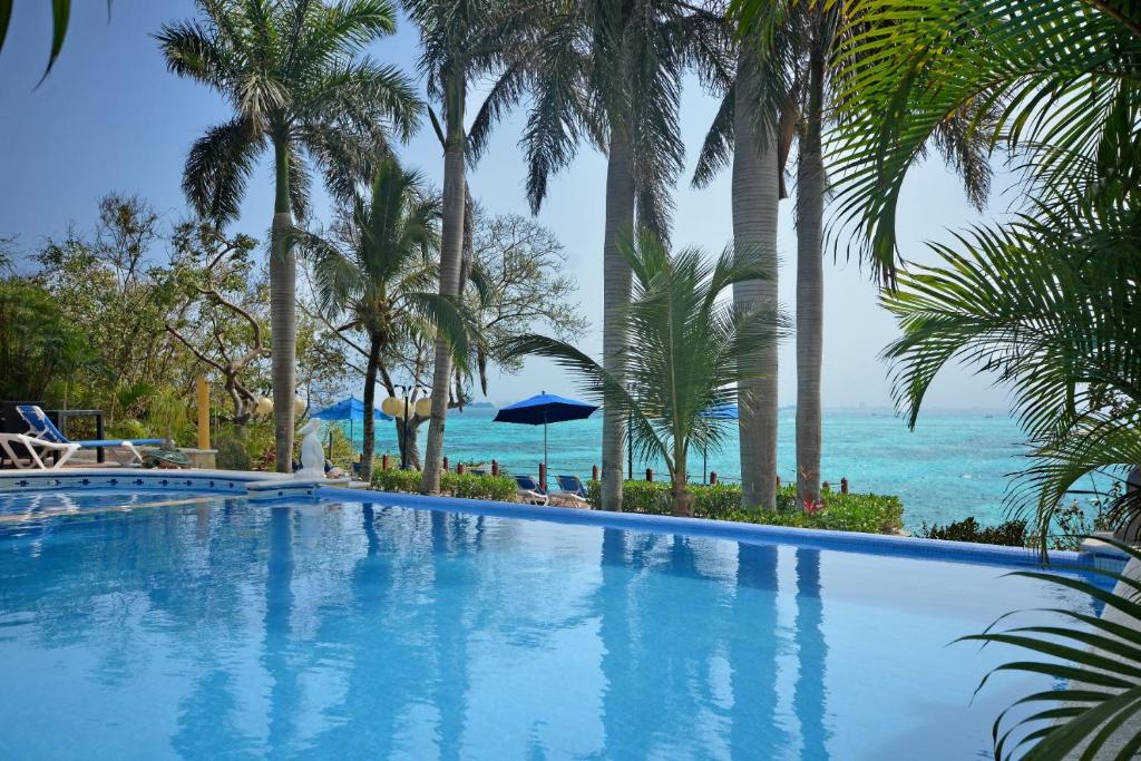 女人岛拉约亚女人岛酒店的一座棕榈树和海洋游泳池