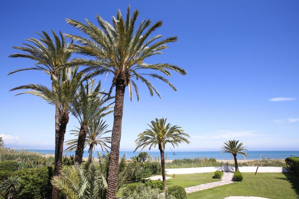 德尼亚030 Villa Marines - Deniasol的一组棕榈树,背景是大海