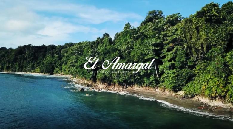 努基Lodge El Amargal - Reserva Natural, Ecoturismo & Surf的享有河流和树木的景色