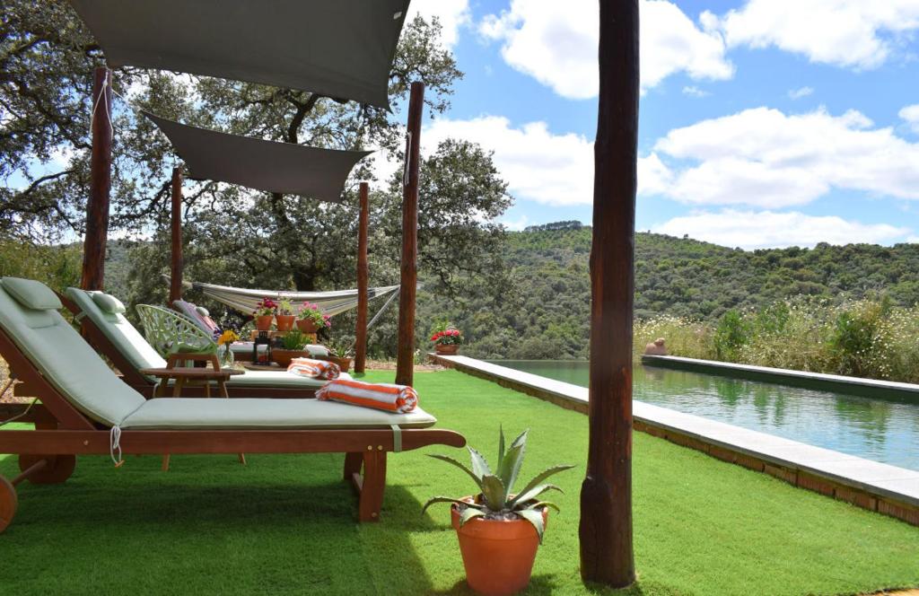 科迪加纳Finca Bravo的一个带吊床的庭院,享有水景