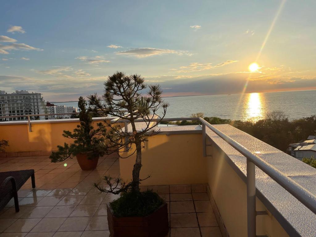 米兹多洛杰Wolin-Travel Fala apartamenty z widokiem na morze的日落时分享有海洋美景的阳台