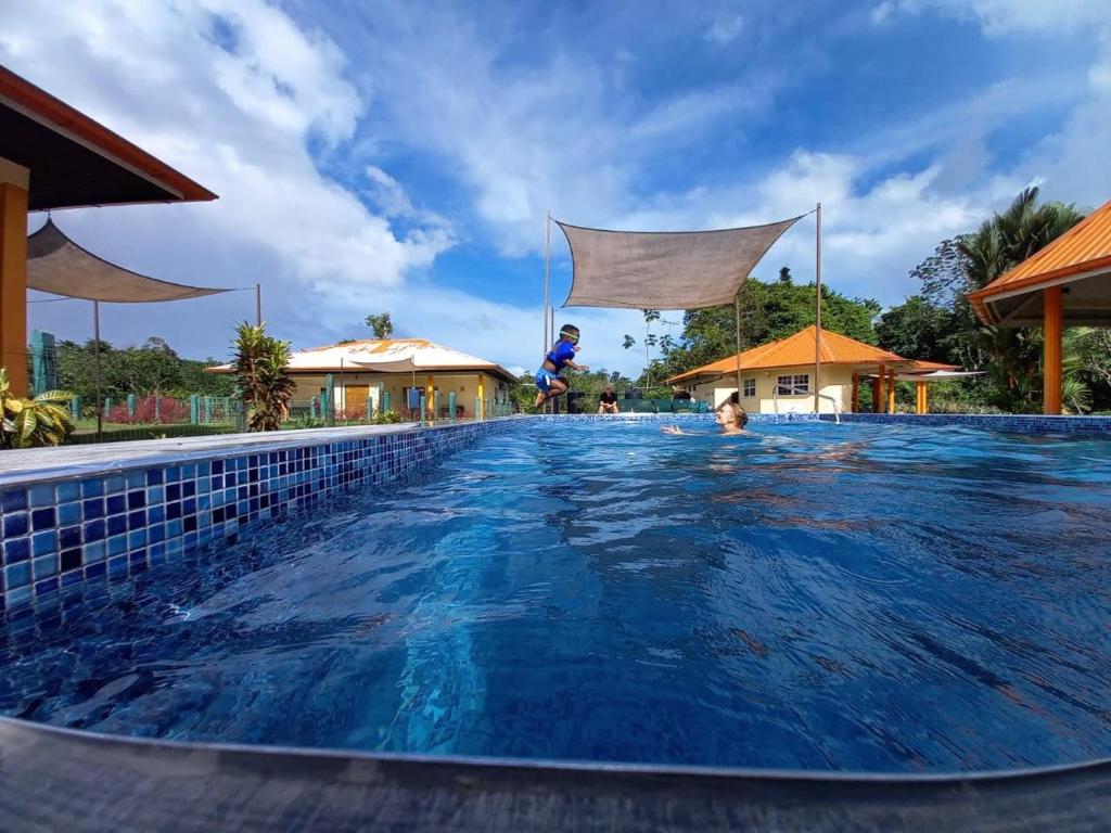 DomburgSurinat Luxury Resort的一个人跳进度假村的游泳池
