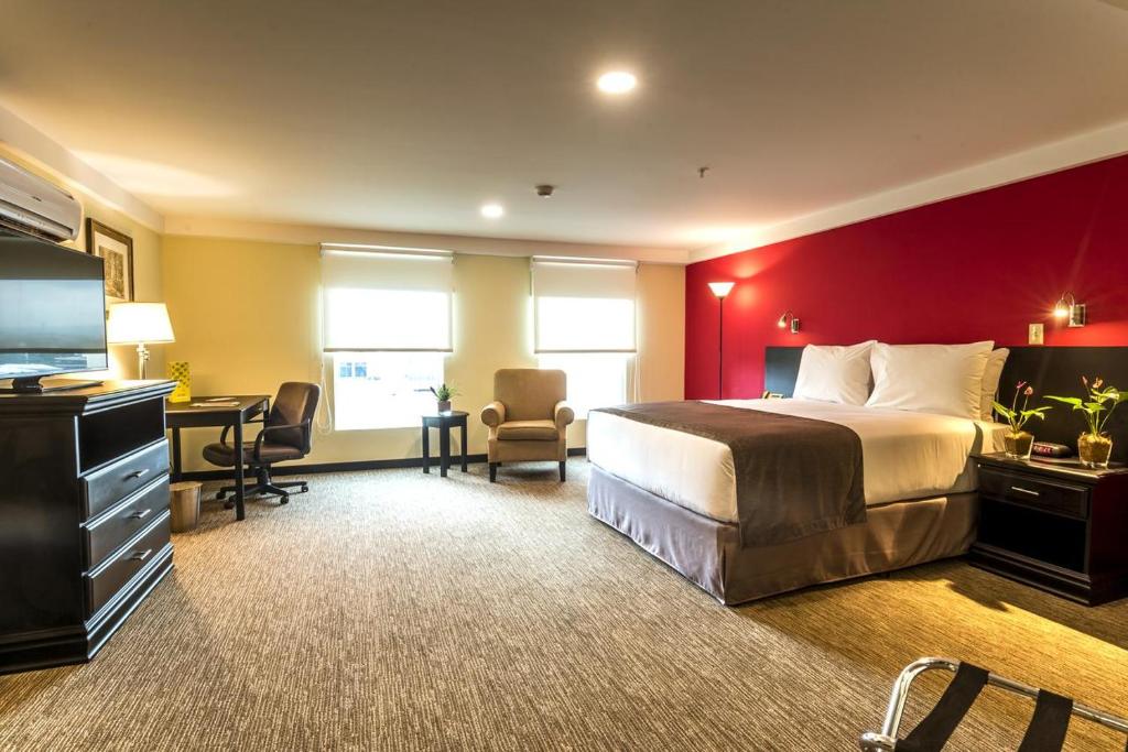 圣何塞Urban Green Hotel & Suites的配有一张床和一张书桌的酒店客房