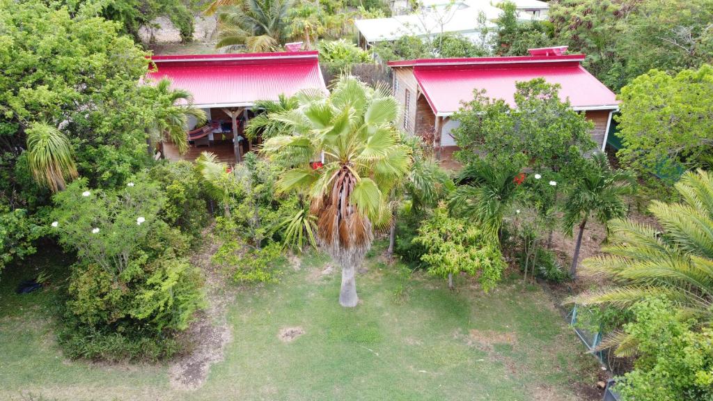 勒穆莱Les Z’Alizés的棕榈树房屋的空中景致