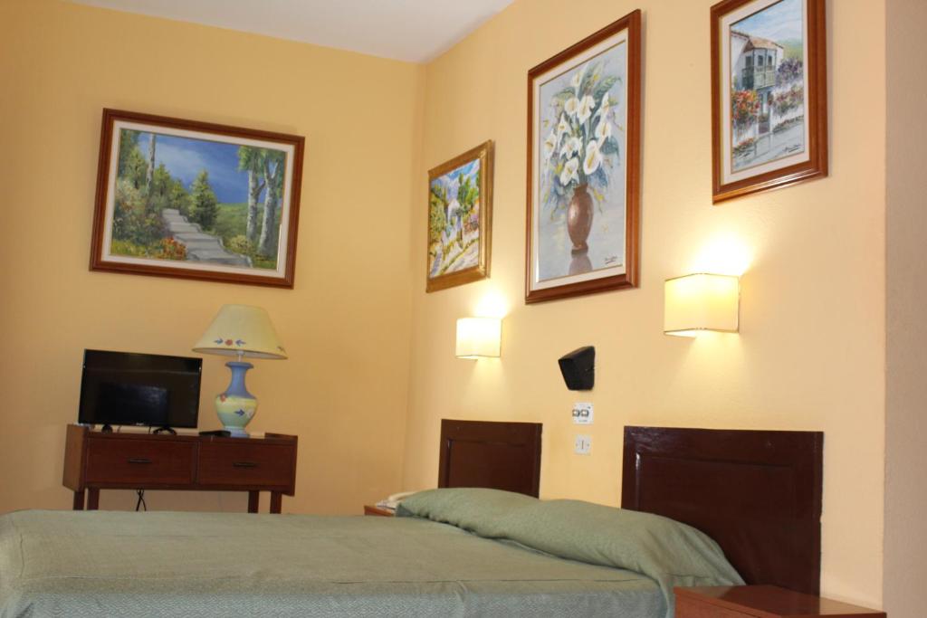 大加那利岛拉斯帕尔马斯奥林匹亚酒店的一间卧室配有一张床和一台电视,墙上挂有图片