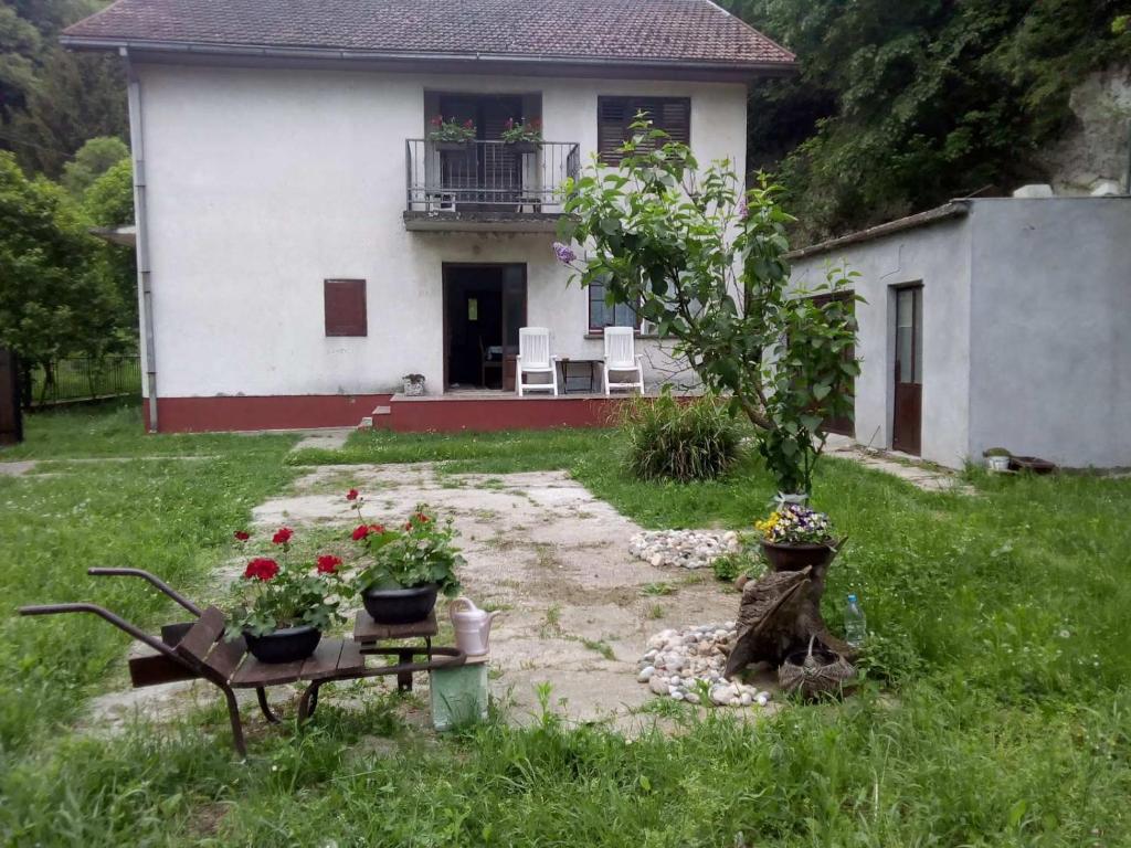 ZmajevacŠumska idila Rakovac的前面有一张桌子和鲜花的白色房子
