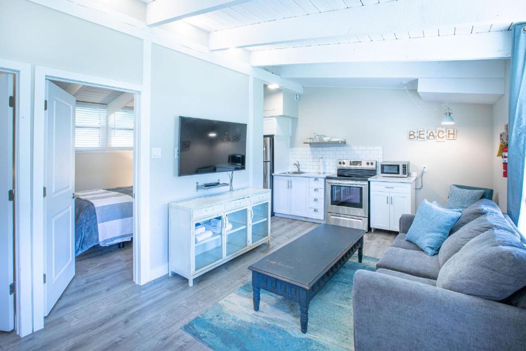 蓝山2BR Boutique Suite #8的带沙发和电视的客厅以及厨房。
